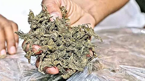 Ganja