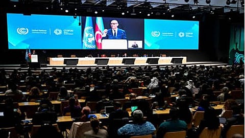 COP29: Rich nations' offer to developing countries