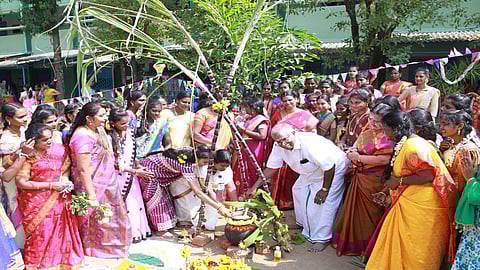 Pongal celebration in Tamil Nadu