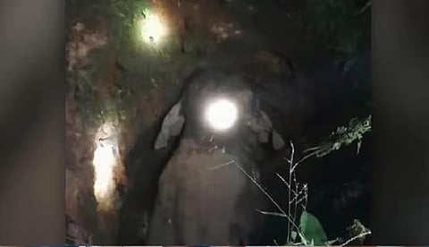 Elephant falls in well in Malappuram