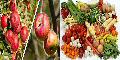Fruit and vegetable produce