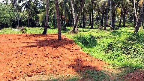 Paddy field land in Elappully village, Palakkad