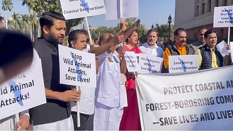 Cong MPs stage protest in Parliament premises, flag issues of sand mining, animal attacks in Kerala