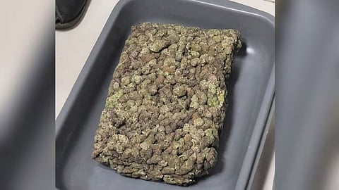 Ganja