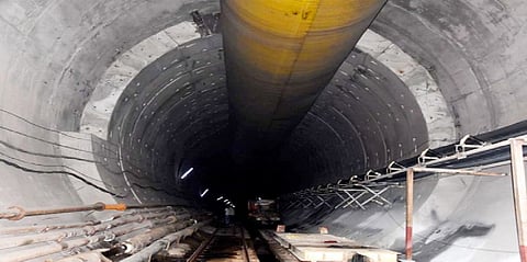 As sludge started solidifying inside the Srisailam Left Bank Canal tunnel in Telangana, part of which collapsed trapping eight persons, rescuers are planning to use sniffer dogs to locate those got trapped, District Collector B Santhosh said on Wednesday.