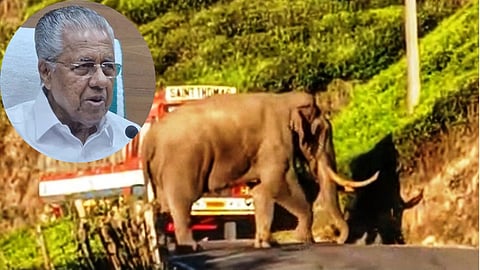 Kerala CM Pinarayi Vijayan has directed that special measures be planned and implemented in hotspots identified in the state as high risk for wildlife attacks.