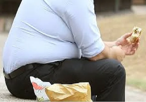 By 2050, India could have over 440 million obese and overweight people, a global analysis published in The Lancet journal has estimated.