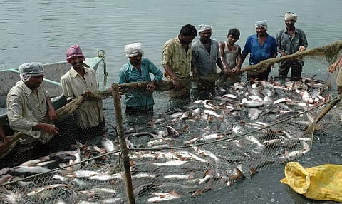 India's fishery sector loses over USD 2 billion due to untreated wastewater contaminating waterways, according to a study published on Wednesday.