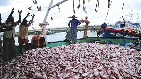 Seafood Exporters Association of India said the reciprocal tariffs by US will have a severe adverse impact