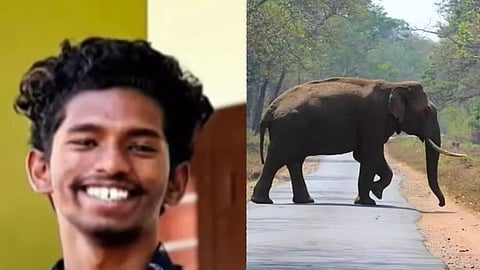 Forest Minister A K Saseendran announced that an inquiry will be launched to ascertain if there was any lapse on the part of forest officials