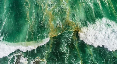 Ocean