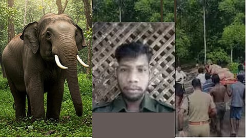 Two tribal persons who had gone to collect forest produce were found killed in a wild elephant attack