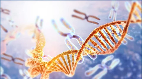 The GenomeIndia Project -- India's reference dataset for genetics and genomics