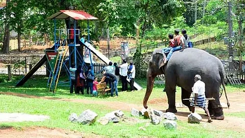 Don’t make us scapegoats in conflicts, say defiant forest staff