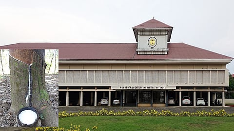 High-quality rubber from skim latex