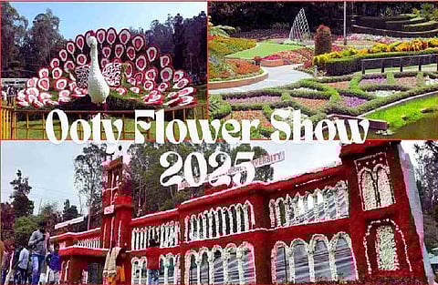 TN CM Stalin inaugurates colourful Ooty flower show