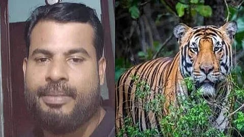 Teams with tranquiliser guns, kumki elephant deployed to spot tiger that killed Malappuram man