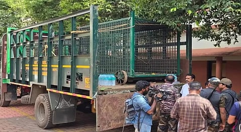 Malappuram tiger attack