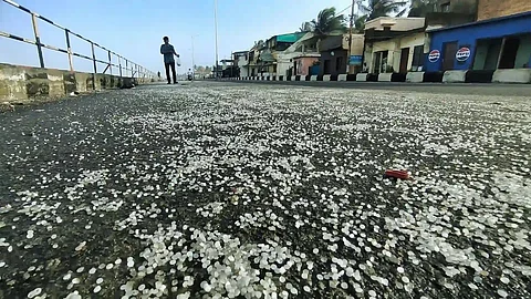 Kerala deploys volunteers to clean plastic pellets after shipwreck