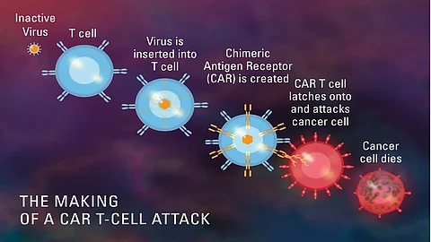 Mechanistic pathway of making CAR T-Cell & its invasion and annihilation of cancer cells