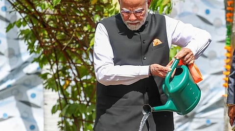 Let's deepen our efforts towards protecting planet: PM Modi