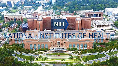 NIH scientists go public to criticise Trump's deep cuts in public health research