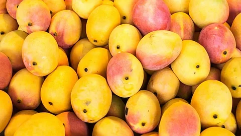 UP's Dussehri mango