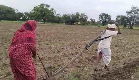 After video of farmer pulling plough goes viral, Latur outfit gifts him pair of bullocks