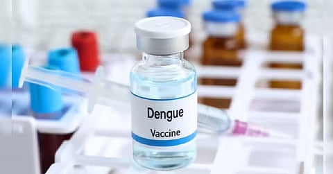 dengue vaccine