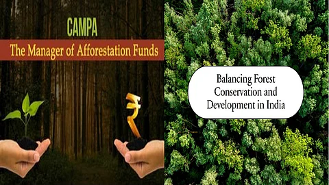 Activities of CAMPA in 2019-2023