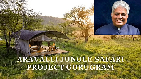 Jungle safari project will face no obstacles