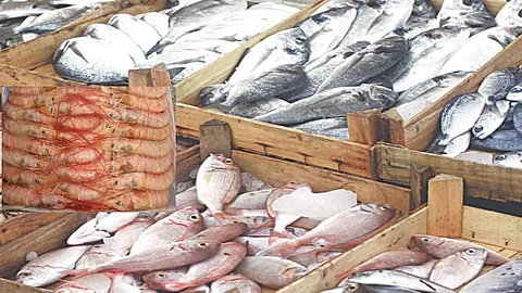 Govt asks to explore new markets amid US tariff hike