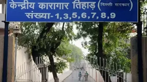 Almost 1,500 convicts at Tihar Jail given special remission on 79th Independence Day