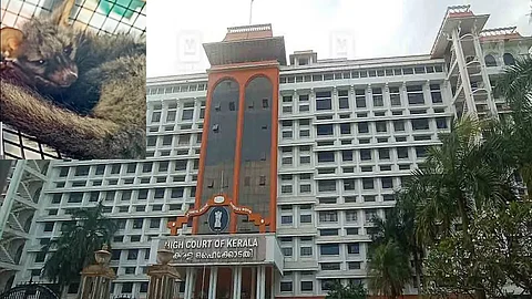 Bad smell leads to halting of proceedings