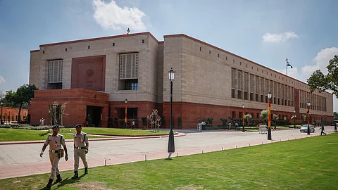 Parliament's 'number 01' tree poses security challenge