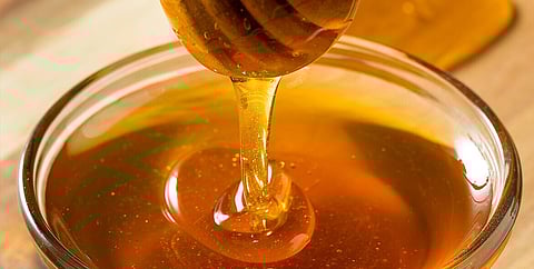 Govt cuts minimum export price on natural honey to USD 1,400 per tonne till Dec 31 this year