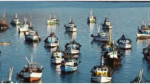 Migrant labourers comprise 58 per cent of workers in Kerala's fisheries sector