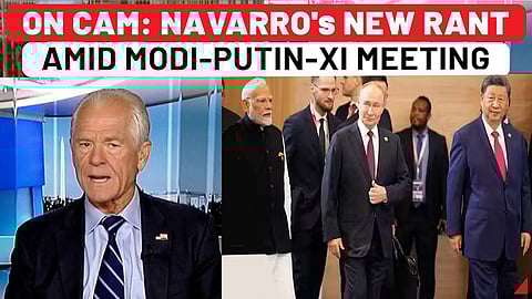 'Troublesome': Trump aide Navarro