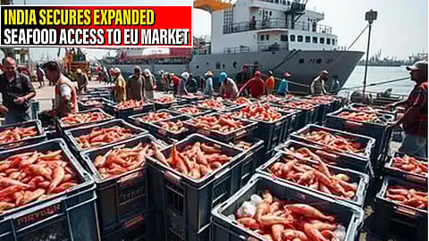 Seafood exports to get a boost