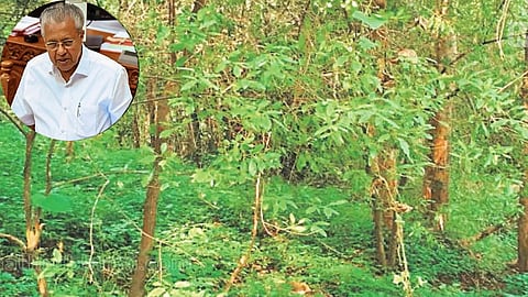 Cabinet approves Bill to sandalwood felling on private land