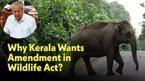 Kerala cabinet clears draft bill