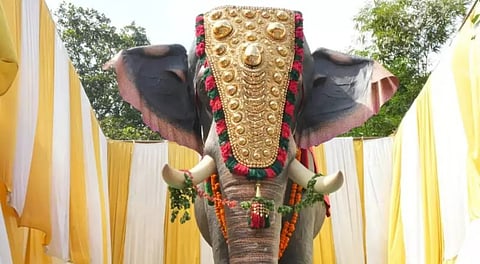 Mechanical elephant