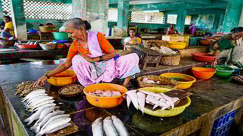 In small-scale fisheries