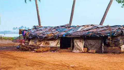 Study finds 46 pc of world's low-income regions continue living closer to coast