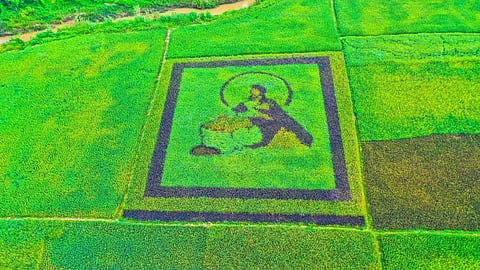 A farmer's living canvas