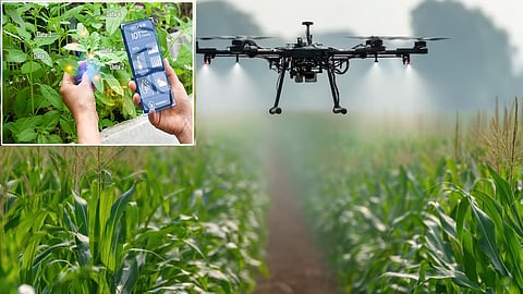 WEF says AI, robotics, nanotech to transform agriculture