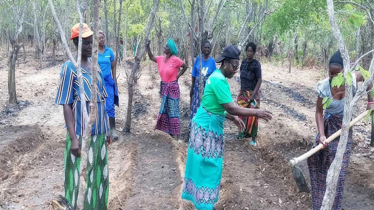 Need finance for solar power