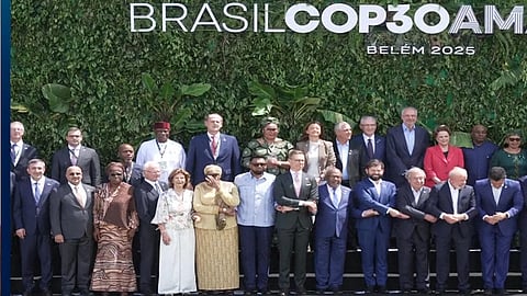 WWF, Greenpeace demand roadmap on deforestation