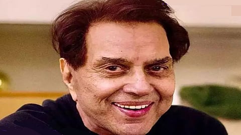 Machismo with marshmallow softness