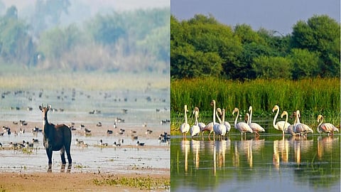 India gets Ramsar tag for 2 wetlands